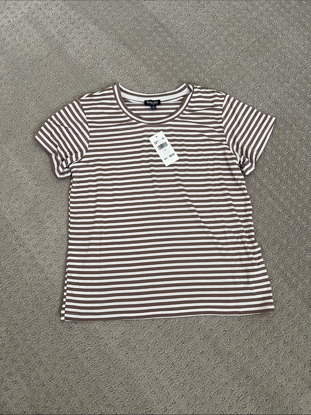 Splendid Brown & White Striped Crew Neck Tee